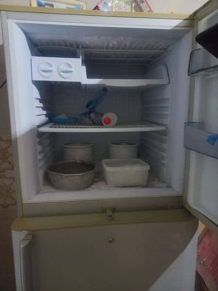 PEL refrigerator (Extra Large Size 72 L) 6