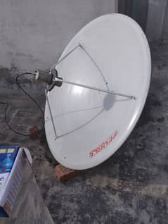 dish