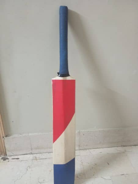 babar Azam sign bat 1