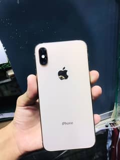 official pta proved  IPhone xs