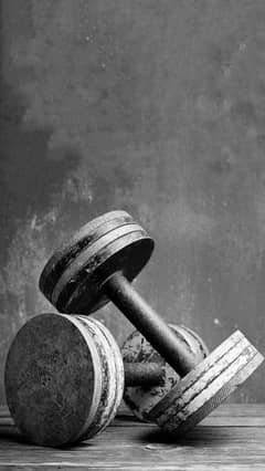 dumbbells pair 72 kg