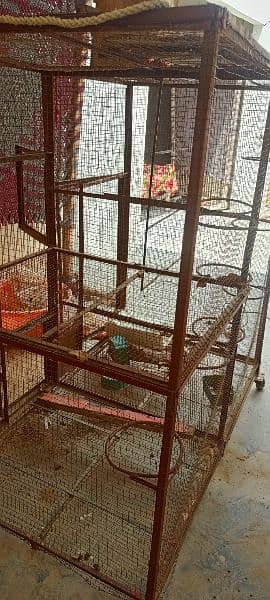 cage big birds colony cage for All Birds 2