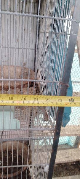 huge size cage for animals 2