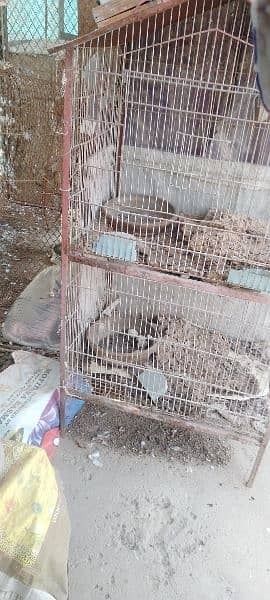 huge size cage for animals 3