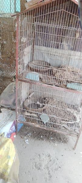 huge size cage for animals 4