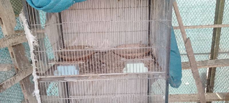 huge size cage for animals 5