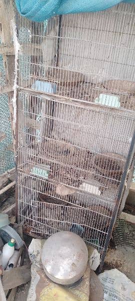 huge size cage for animals 6