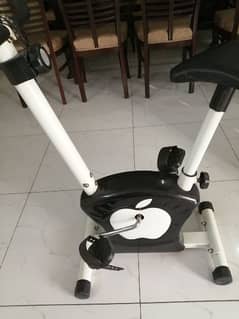 exercise cycle (magnatic)