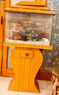 Fish Aquarium with Accessories