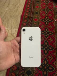 iphone xr nonpta