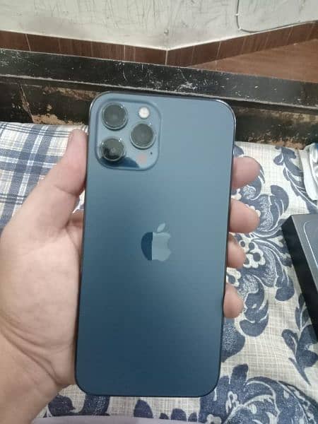 iphone 12 pro max pta approved 2