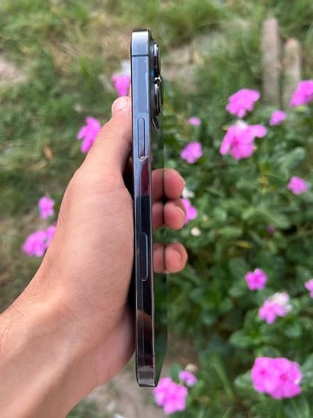 iphone 13 pro max (256gb jv) 6