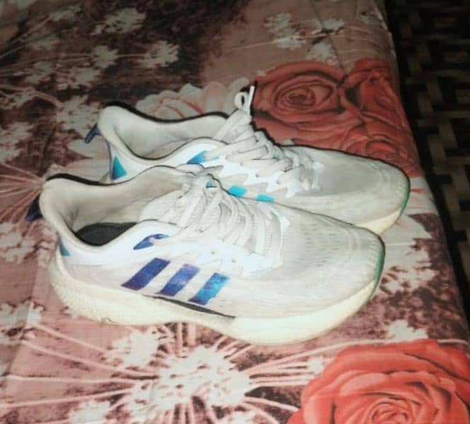 adidas Original 2