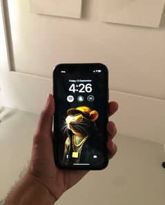 iphone xr dual pta approved