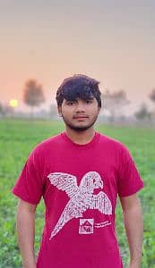 Sameer
