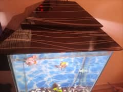 Aquarium for sale