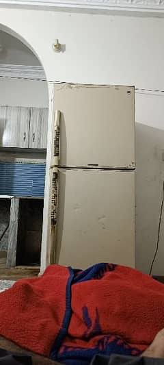 Pel Arctic Fridge Full size Excellent working and cooling 10/10