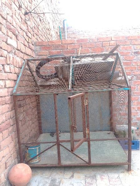 Cage for sale 1