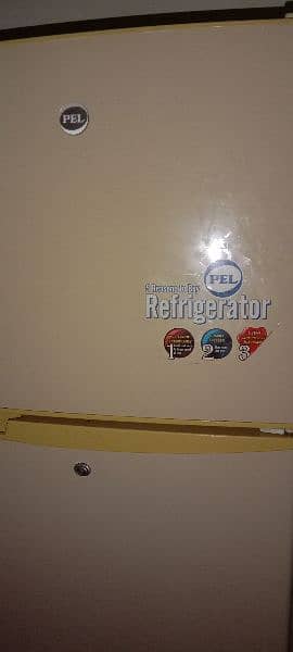 pel refrigerator 2