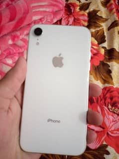 iPhone xr