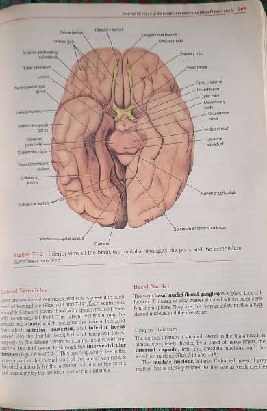 Medical And Dental Books Barely Used. 3