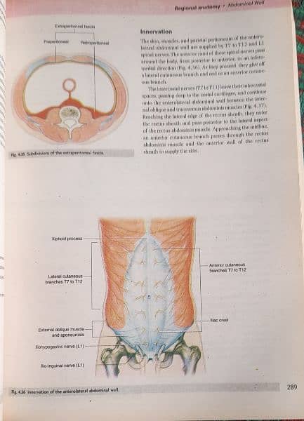 Medical And Dental Books Barely Used. 10