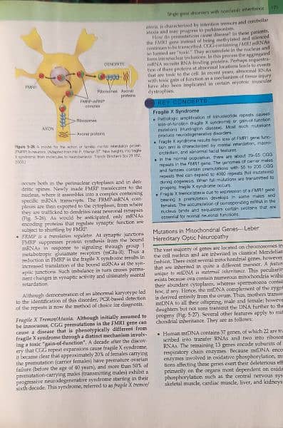 Medical And Dental Books Barely Used. 14