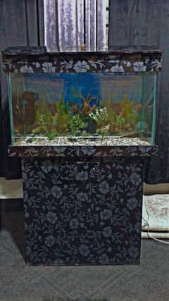 aquarium with fish complete setup available for sell