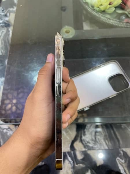 iPhone 13 pro max pta approved 3