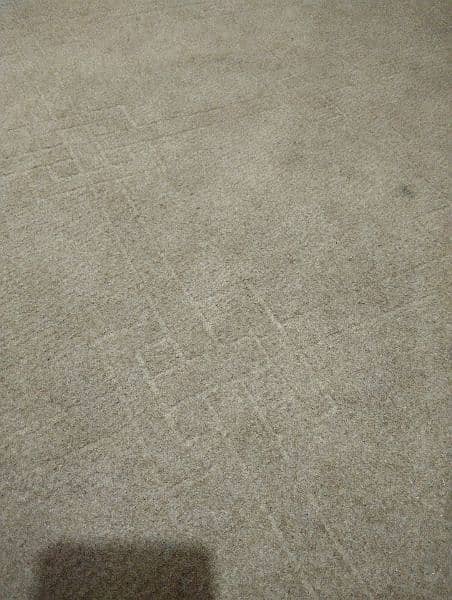 very good condition carpet 2