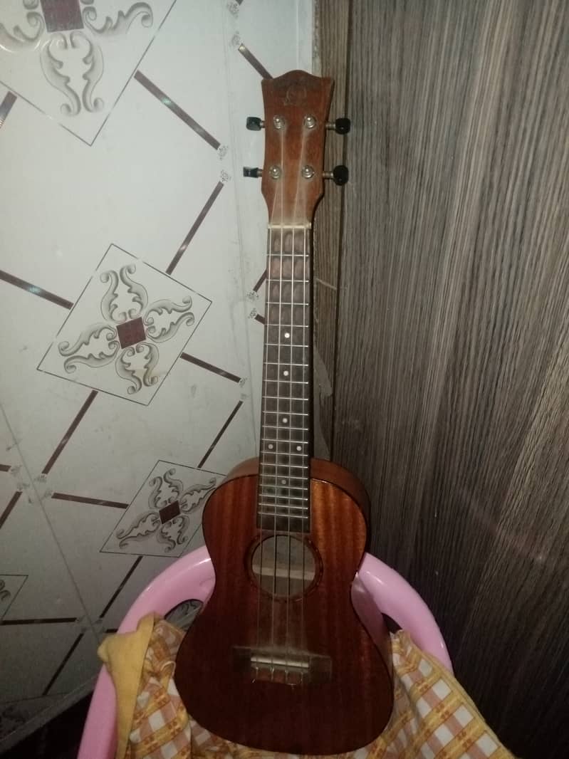 violen guitar small 1