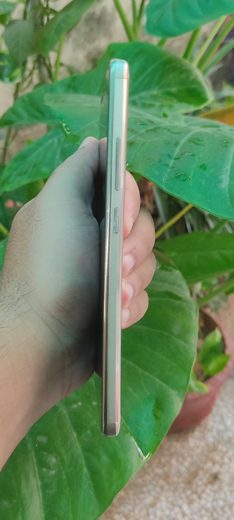 Huawei Honor 5x For Sale 2