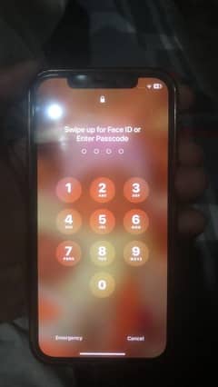 Iphone 12 Pro Non Pta