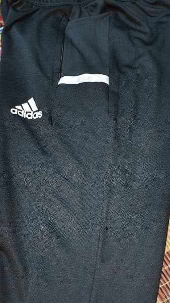 Adidas brand new fresh trouser 1