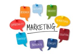 Marketing Assistant