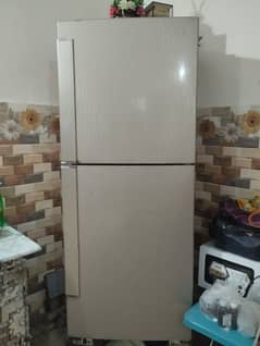 Pel Jumbo Size fridge