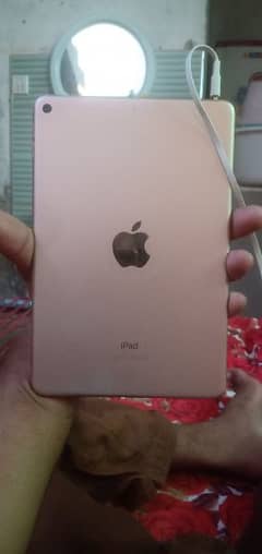 I need I pad mini5 original panal. jis k pas ha wo sms kary mujhy.