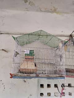 parrot Cage