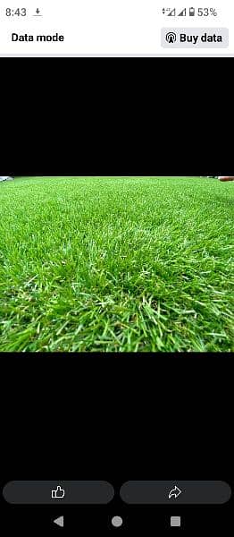 Artificial Grass Carpet Sports Grass Outdoor Lawn Grass 5