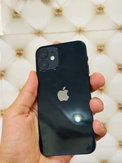 iPhone 12mini 10 by 10 0