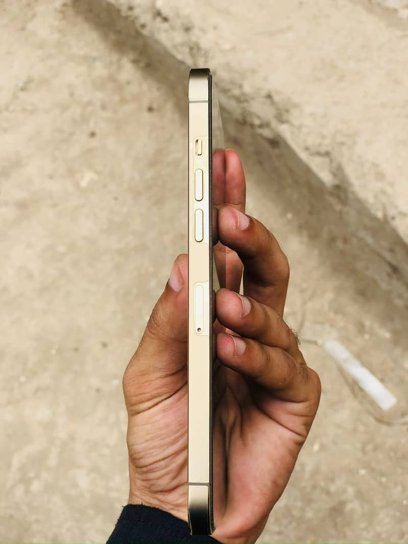 IPhone 12 Pro Max 256GB PTA Approved 2