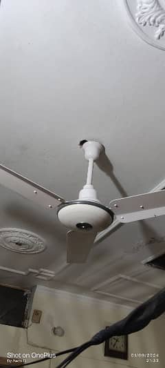 Ceiling Fan