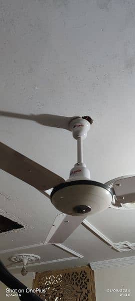 Ceiling Fan 2