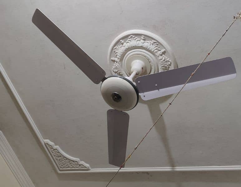 Ceiling Fan 3