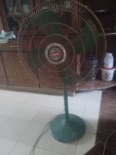 celing fans + floor fan