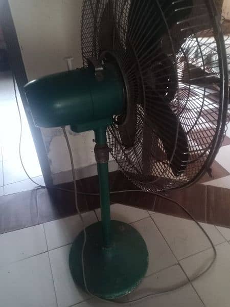 celing fans + floor fan 2