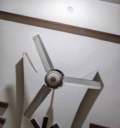 Celling Fan , Marvel Fan