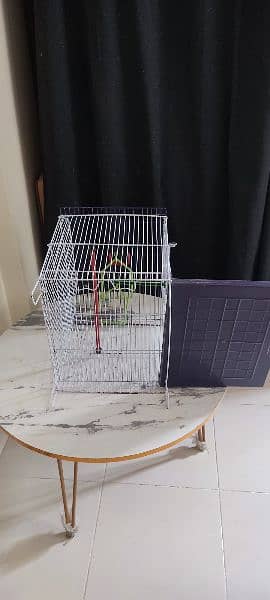 bird cage almost new condition size 12X15X17 6