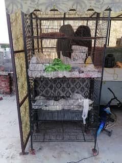 bird Cages for sale