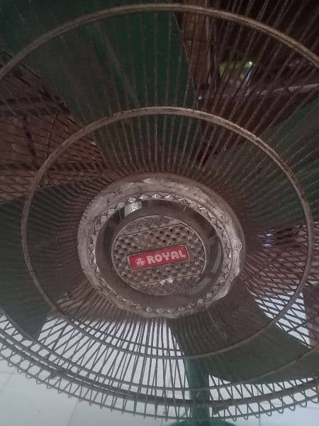 floor fan +celing fans 1